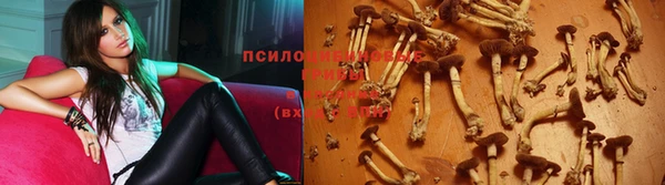 соль ск Балабаново