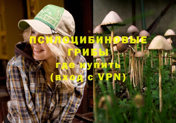 молекула духа Баксан