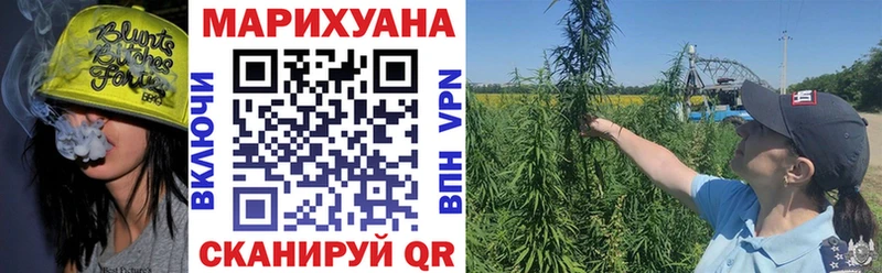 kraken ТОР  Сольцы  Бошки Шишки Amnesia 
